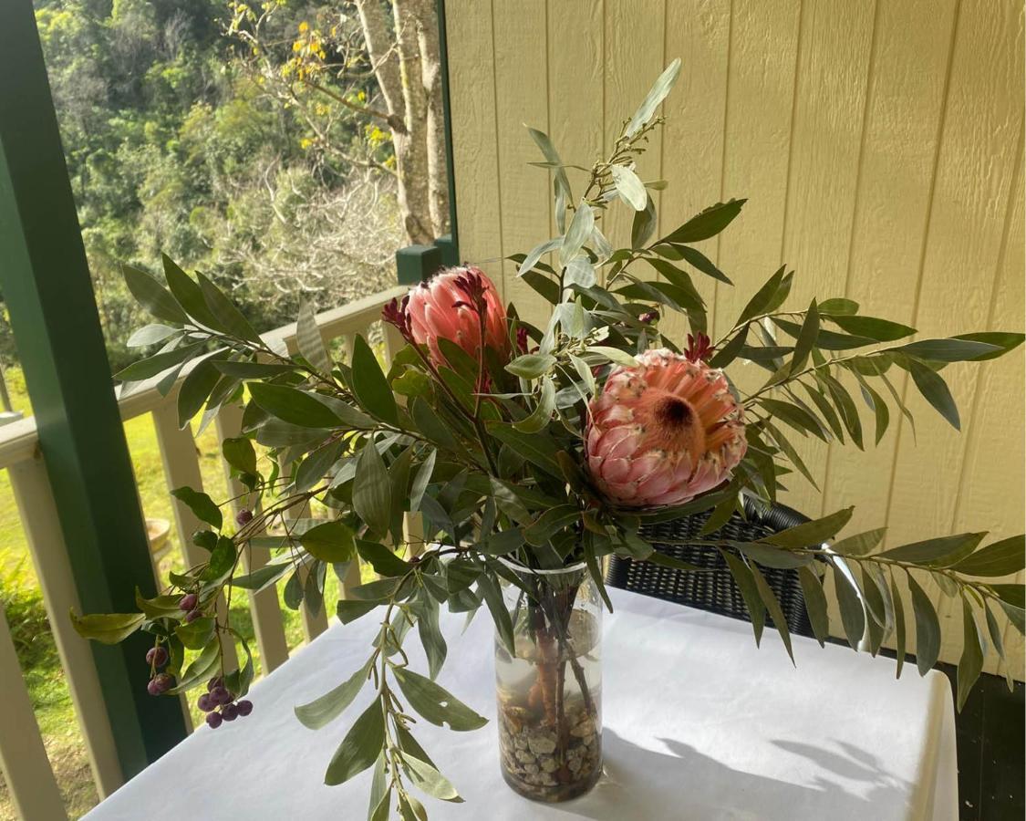 House Bed & Breakfast Copeland